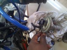EGR- AMER-STAND.