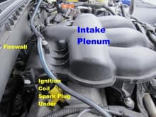 Intake Plenum From Passenger Side. Showing Ignition Coils and Spark Plugs on Rear Bank.