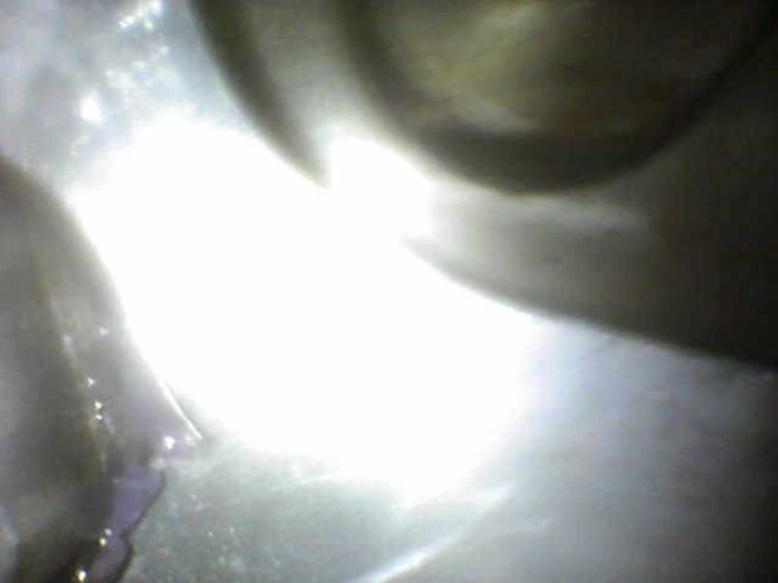 ripped o ring 