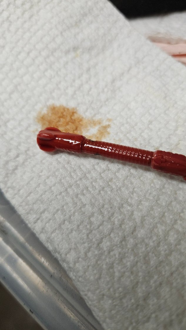 PAO honey colored holding up heat great
