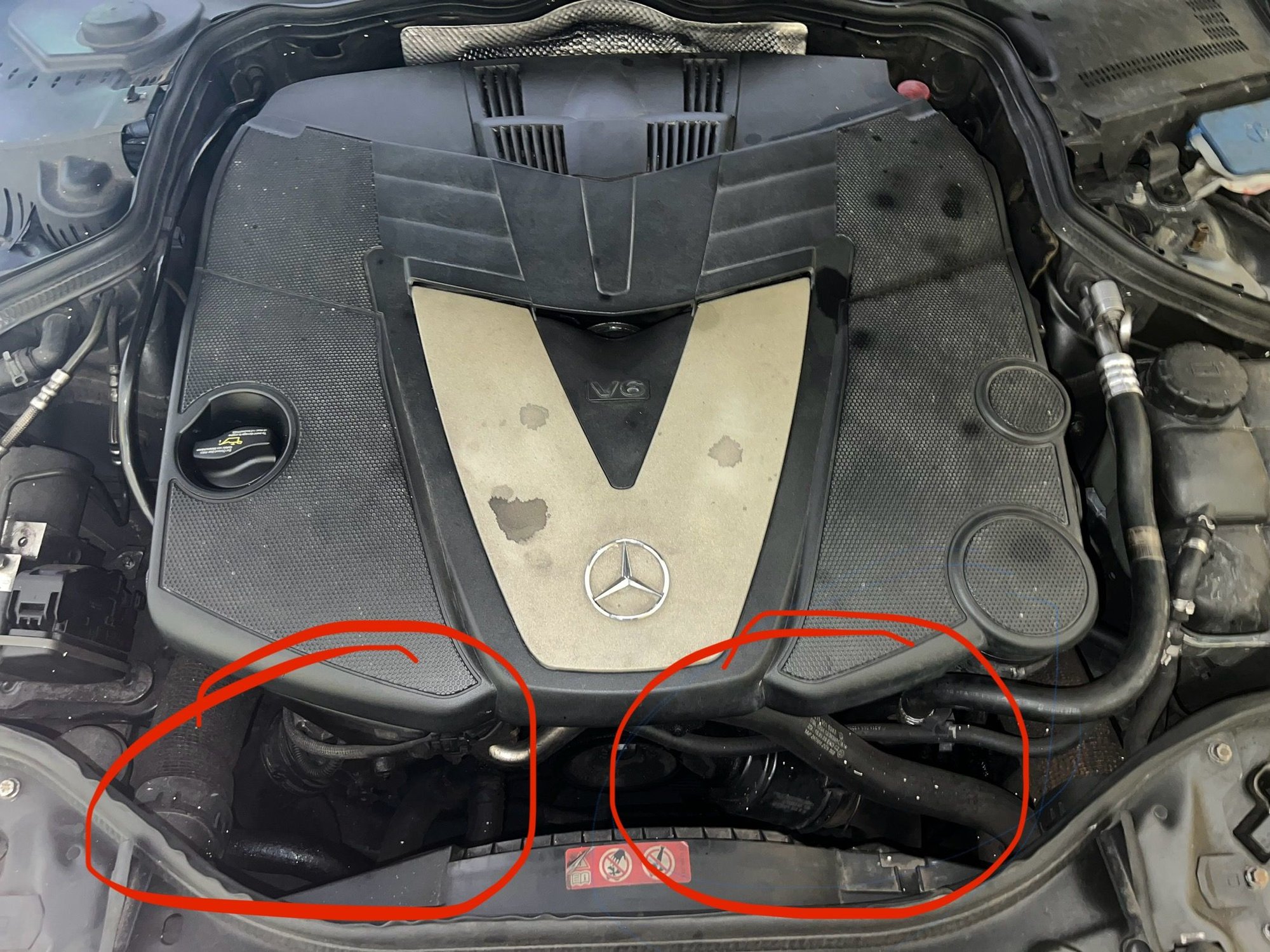 Two spots where it seems to concentrate 