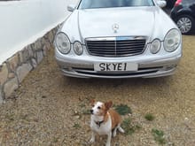 Skye dog has a new car