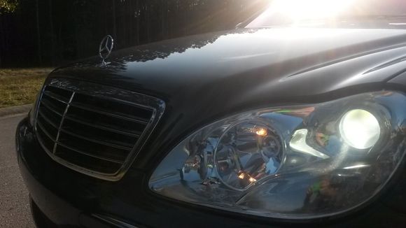 Theres a pic of the ugly brown bulb next to the Xenons.