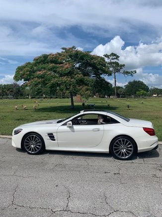 2019 SL 450