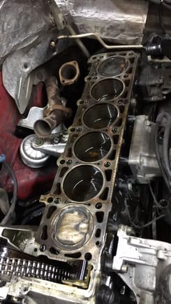 Turns out the previous owner did the head gasket before but used a victor reinz which did not have the reinforcements like the updated factory one and reused the headbolts which were visibly stretched.