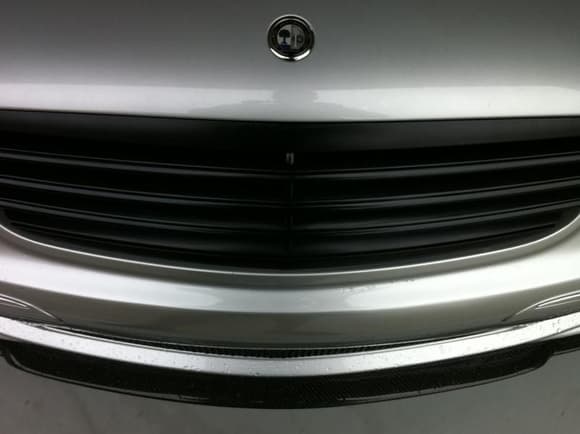 front lip grill