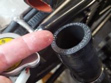 Lower rad hose