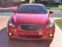 Lamin-x fog light  overlays -    all lights on  -  bright sunlight from behind