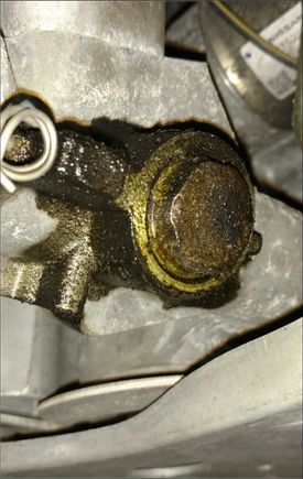 This is the big bolt im talking about. If yours look similar you can always clean it with some brake cleaner and tighten it 1/4 turn and it will stop it from leaking. 