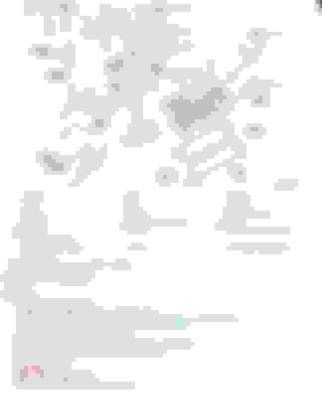 DIY G37 Valve Cover gasket and Spark Plug Tube Gasket change MyG37