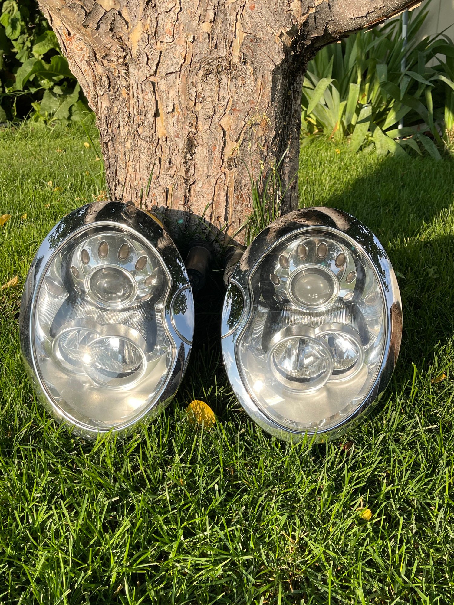 Lights - Facelift Xenon Headlights - Used - All Years  All Models - Idaho Falls, ID 83402, United States