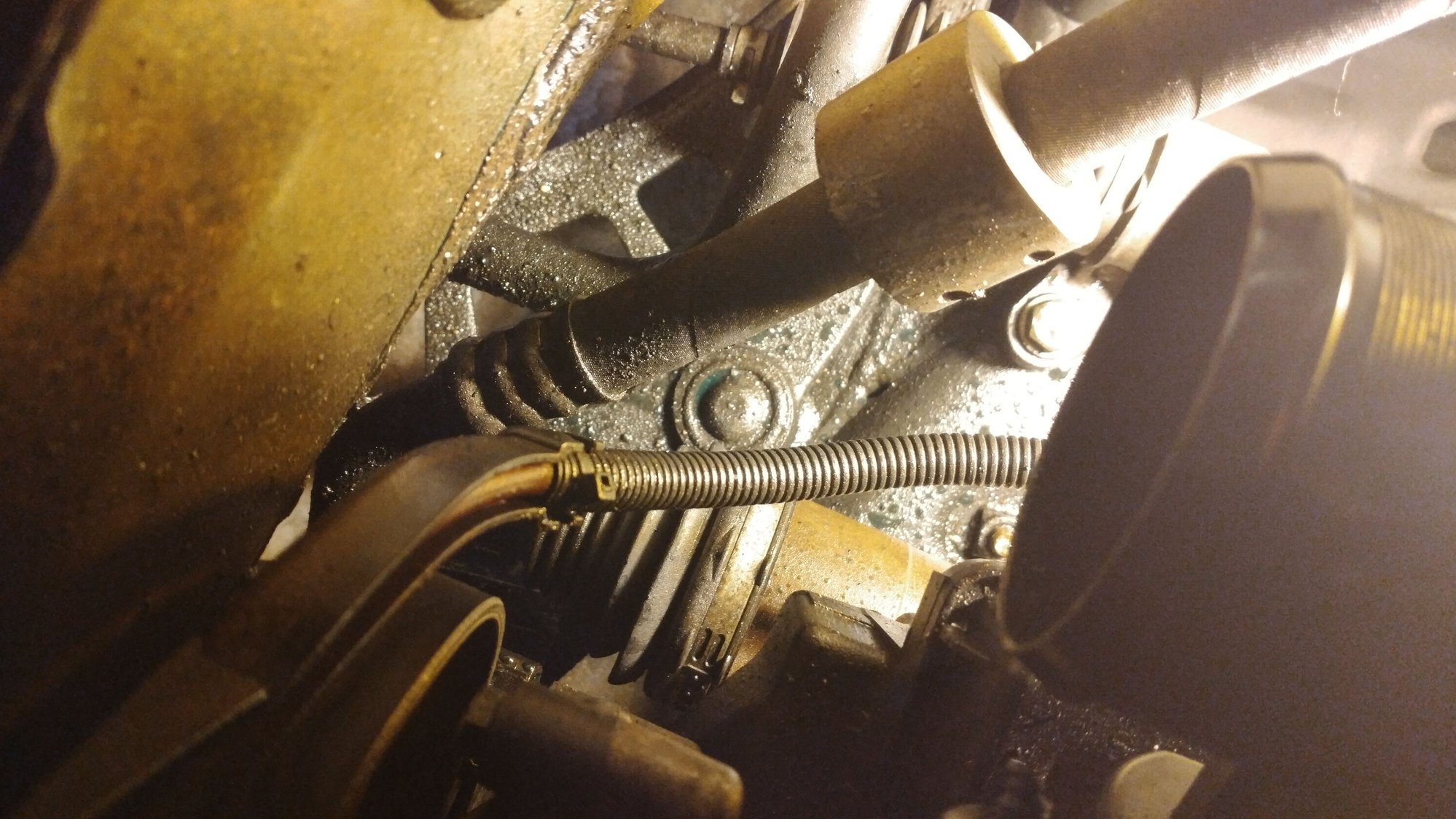 coolant leak, possibly water pump? North American Motoring