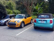 Now if we can only get the blue Mini to back in to her spot like the rest of us proper Miniacs...