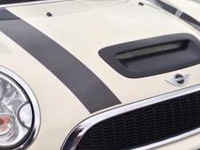 Exterior Image 
Custom hood scoop insert