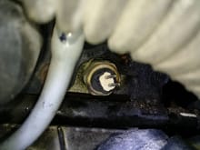 This is where the plug was on the engine. That's the grey hose going into the intake tube.