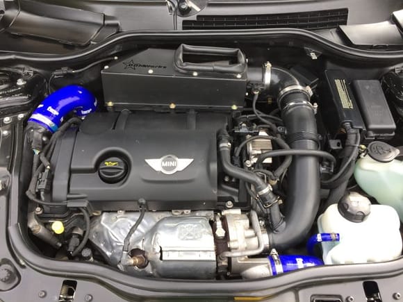 Forge silicone boost & coolant hoses.