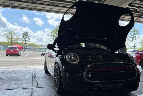Albert cooling off with Nik’s car in the background
