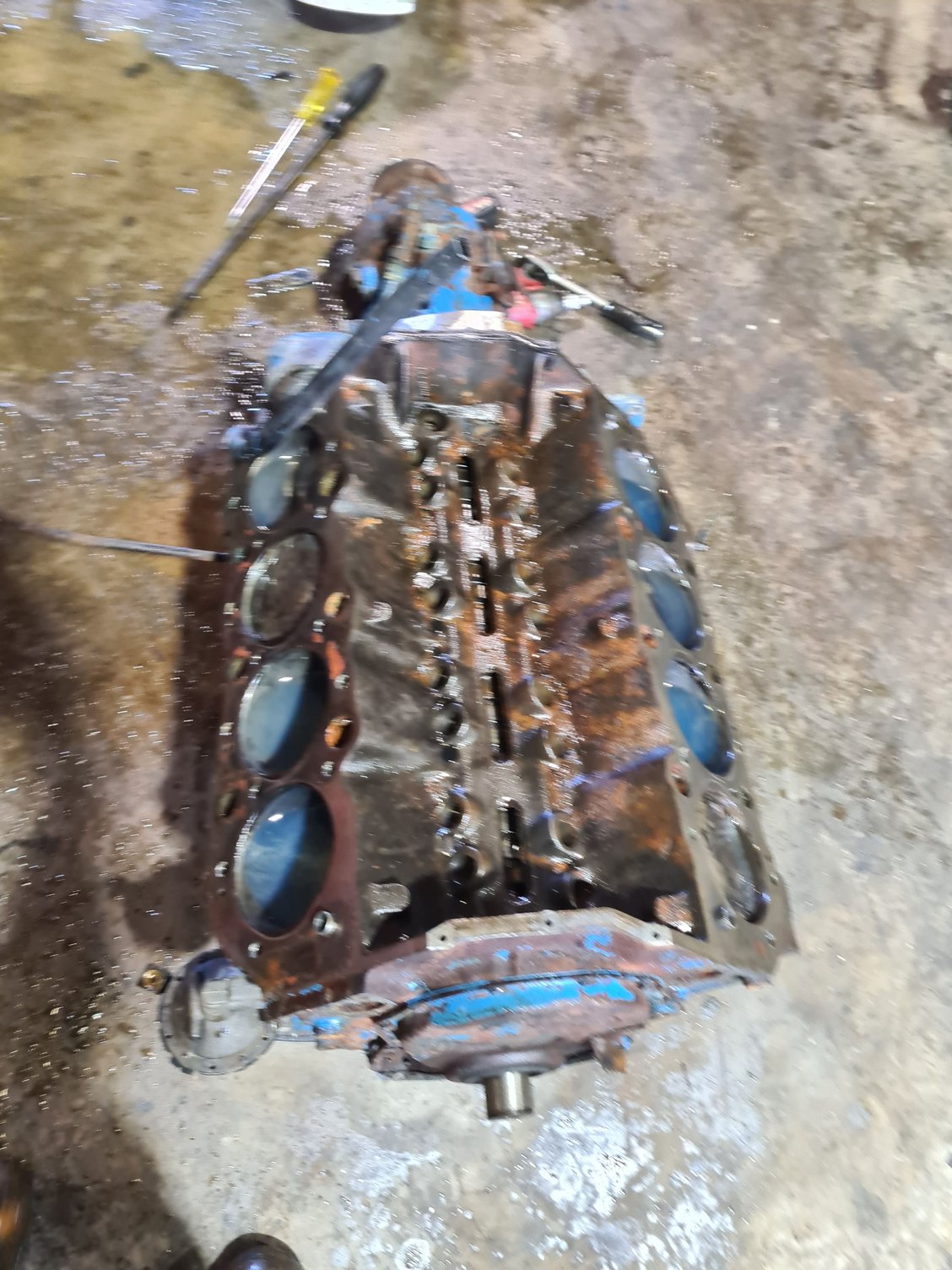 Crusader 454 rescue and rebuild