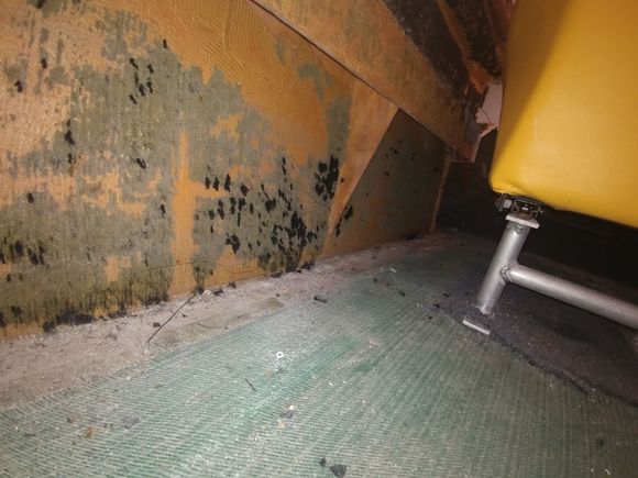 Pulled the flooring...  