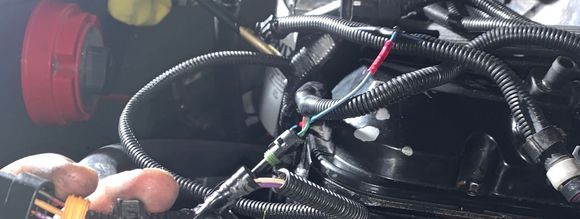 That blue wire was tapped into the TPS and was running into the Piggyback harness. 