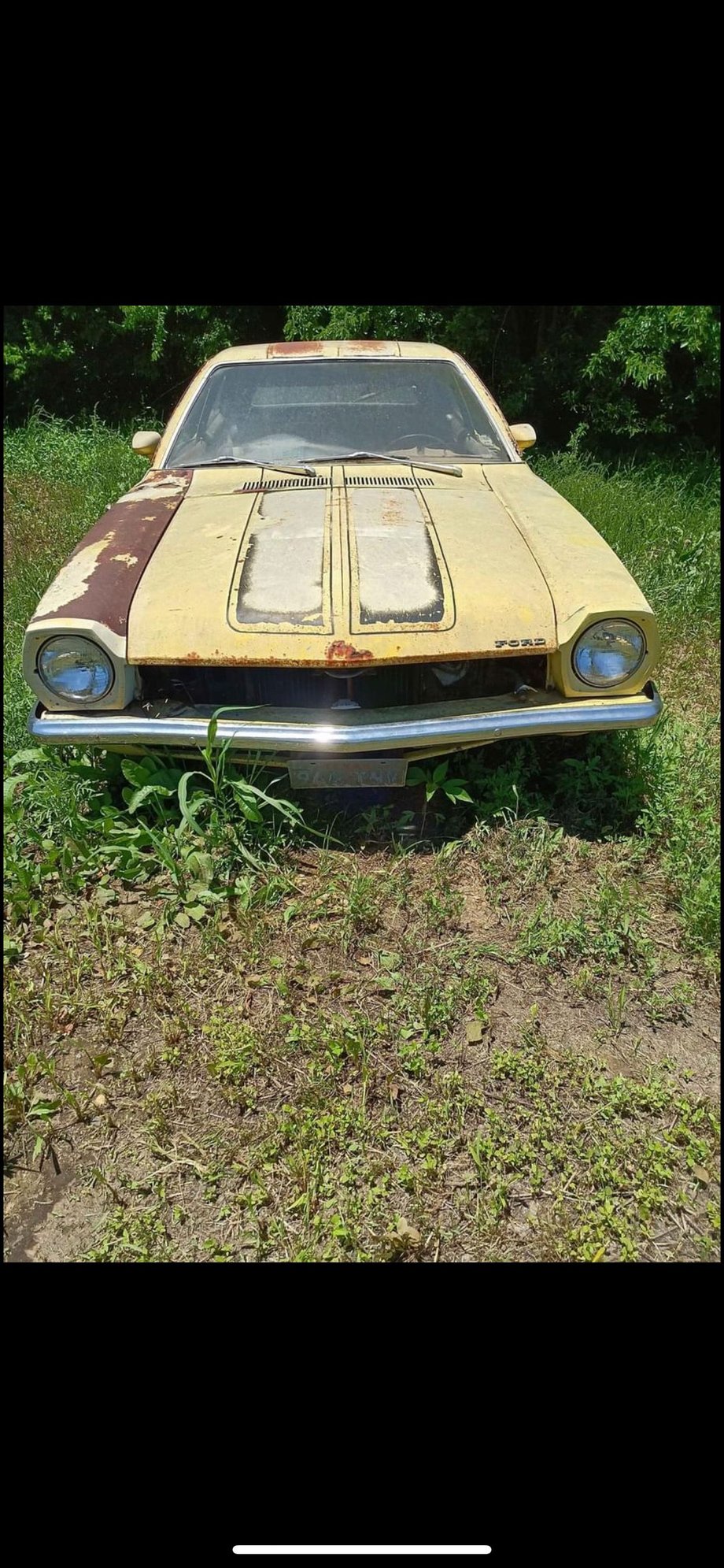 Craigslist Gold! Page 209