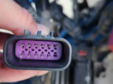 11/12 pins are occupied, but I don't know what this plug is for since it isn't on my 2008 harness.