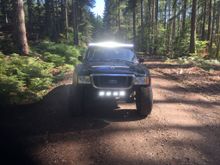 Ol’ danger ranger