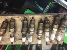 The  plugs were fouled but no caked oil, which usually intakes a ring issue .. the plugs are sitting  about the way they  came  out of the engine, 4 on the left in the pic are the 4 from the  passenger  side , the other 4 are as one would expect are out of if the driver  side