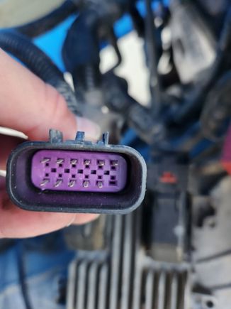 11/12 pins are occupied, but I don't know what this plug is for since it isn't on my 2008 harness.