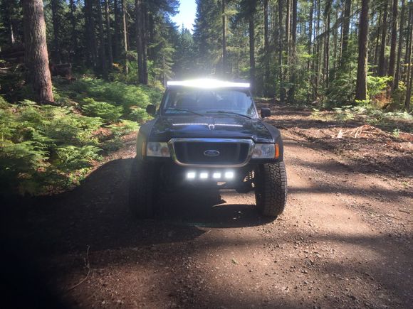Ol’ danger ranger