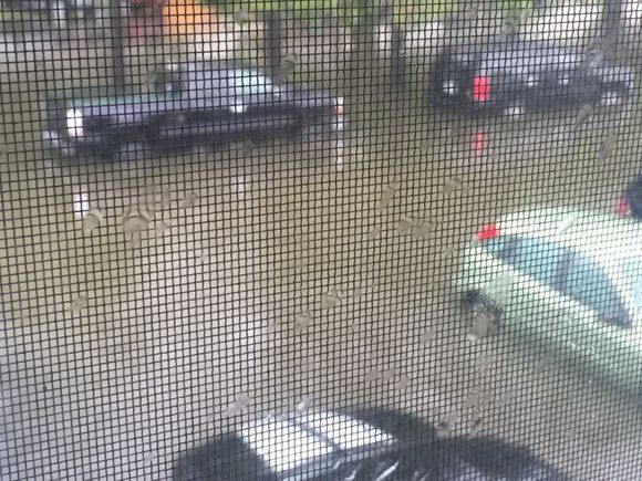 Pictures from my second story bedroom window