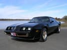 1981 TRANS AM SPECIAL EDITION