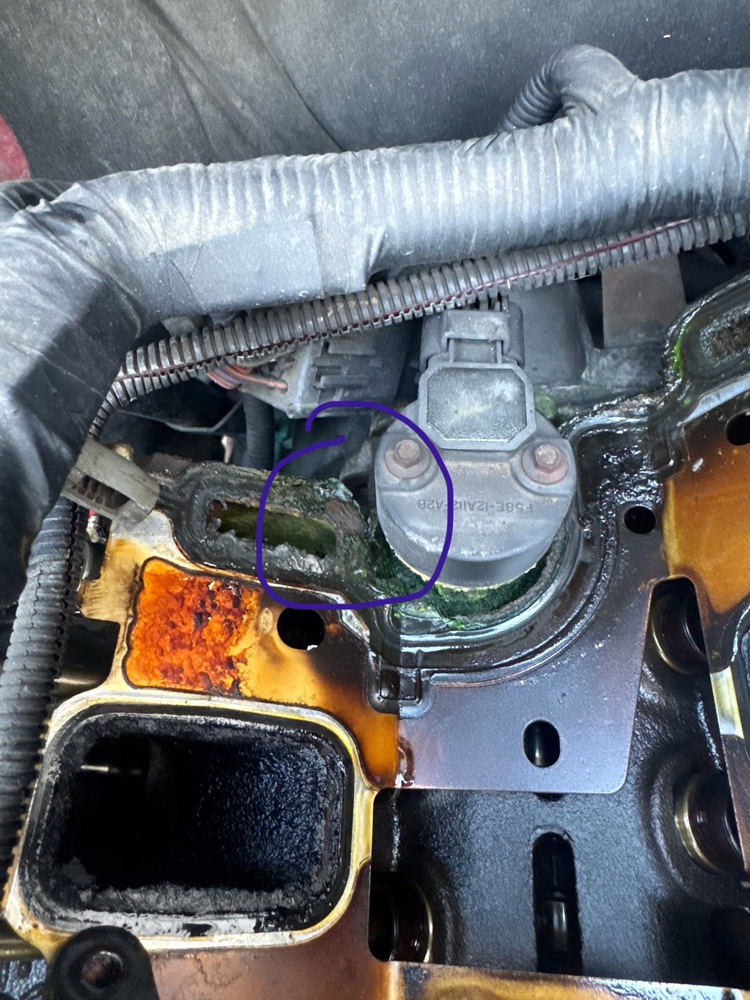 lower intake manifold gasket