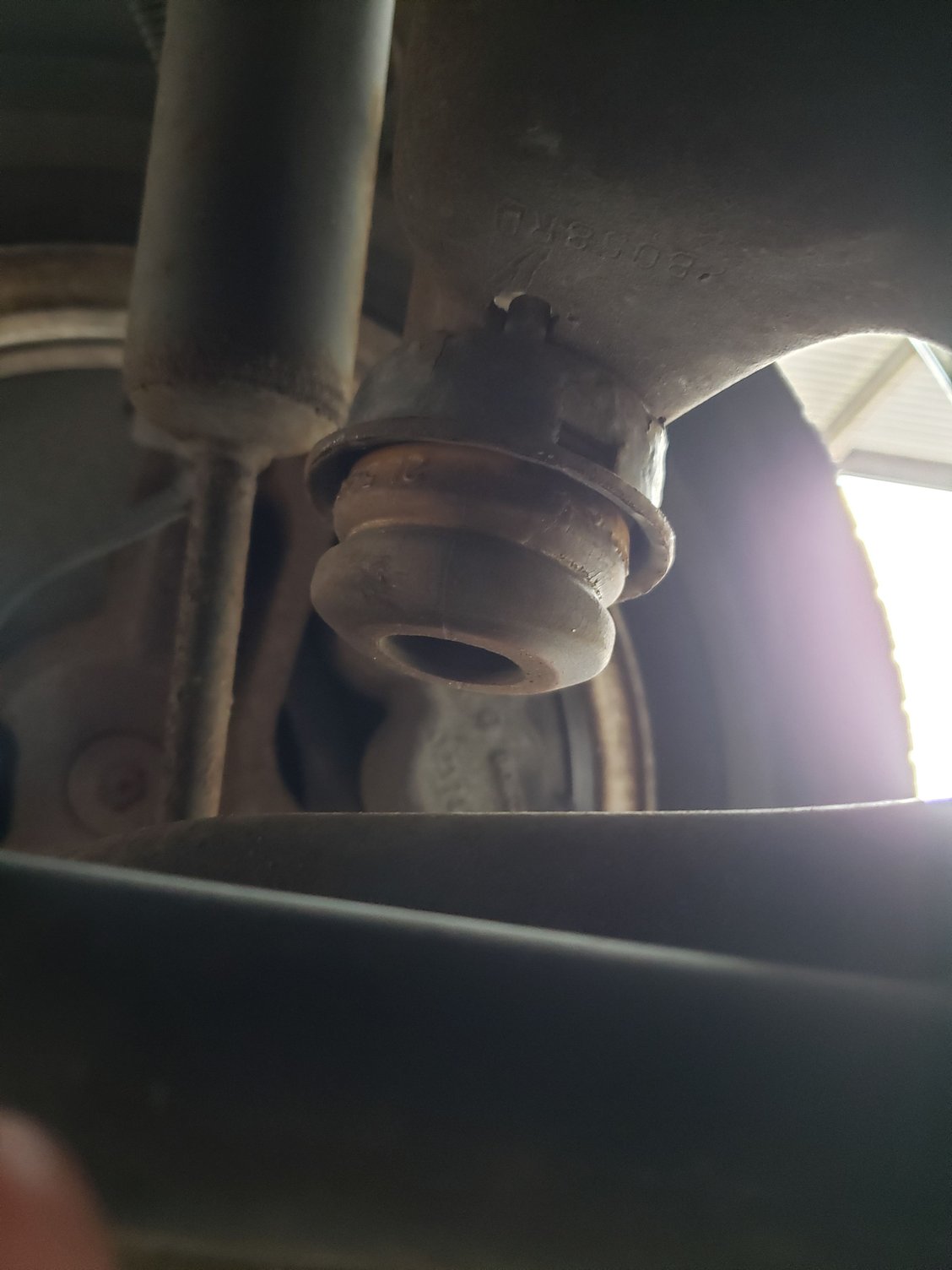 Lower Control Arm Bump Stops (Help)? RangerForums The Ultimate