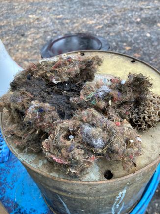 ALL OF THIS came from the cowl!!! Removed the plate in middle of cowl in engine bay: small vacuum hose taped to a .22 gun cleaning rod: no dang wonder water was coming in cab!!!
John in MD