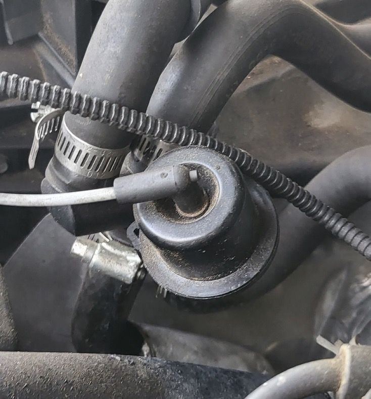 What is this? Coolant leak. RangerForums The Ultimate Ford Ranger