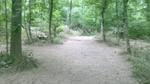 The "Graveyard"