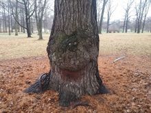 My Post Pictures