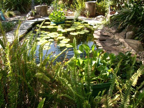 pond52215