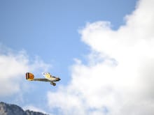 My Baron "Bertie" in flight at the 2019 Coupe Des Barons.