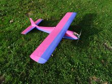 Miss Blue Eyes' Sky Rider.