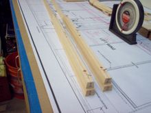 tapered and ready to go, tiger