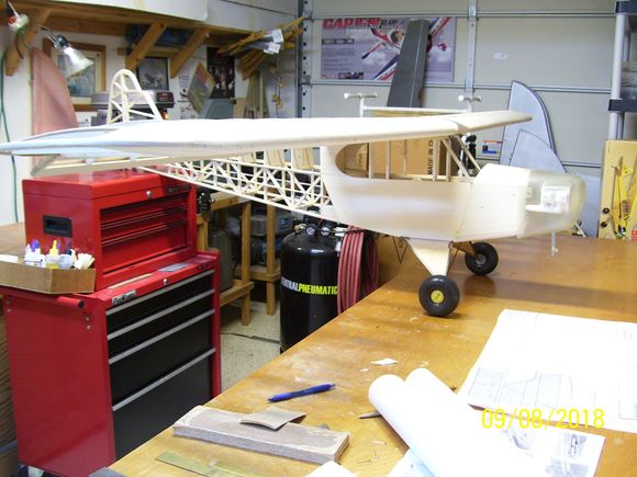 Now it looks like a Cub