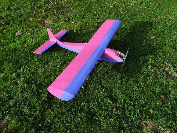 Miss Blue Eyes' Sky Rider.