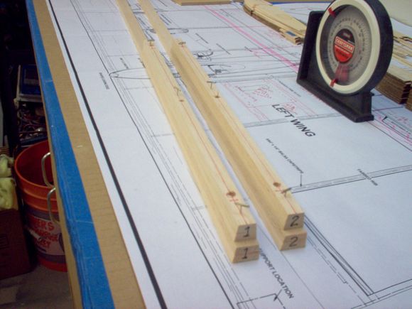 tapered and ready to go, tiger