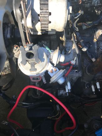 I read that rotor needs to face L1. I have TDC notch lined up on flywheel.  This is the new distributor, old one was lined up just like this.
Never would quite start either.
Does this look correct?