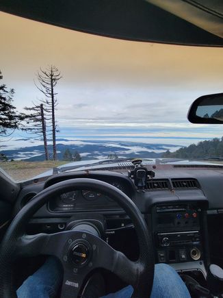 New steering wheel and a view