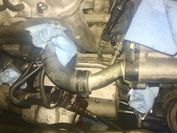 You can see the swollen coolant hose in this picture!!!!
