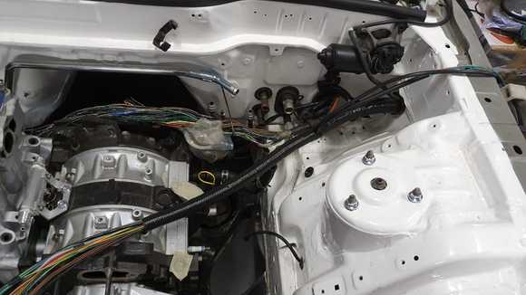 Wiring is also comming along nice 