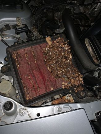 Thought it felt a bit sluggish...